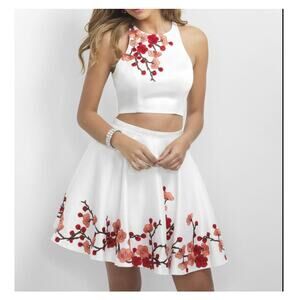 Blush Prom by Alexia Womens Embroidered 2 Piece Skirt/Top Outfit Size 10 NWT